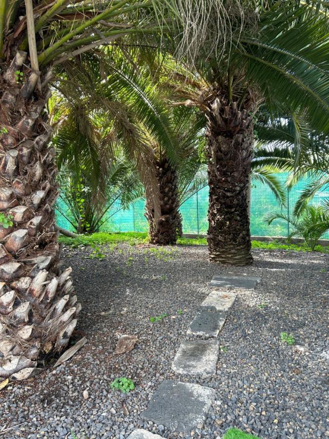 Villa Casa Beatriz La Orotava Esterno foto
